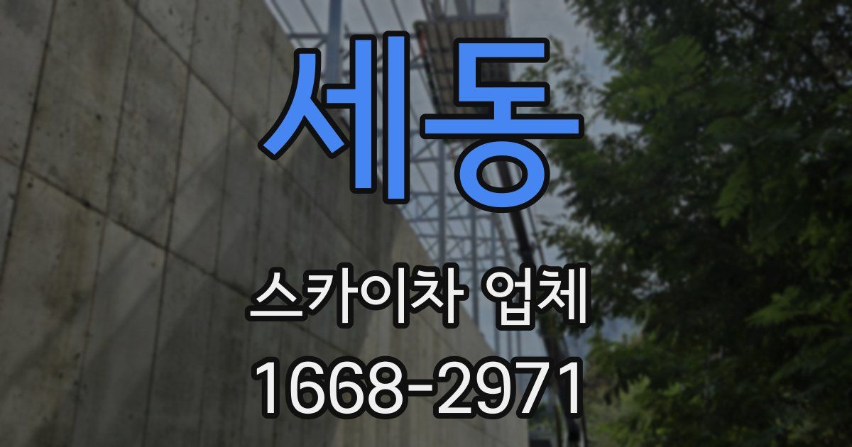 세동 스카이차 업체