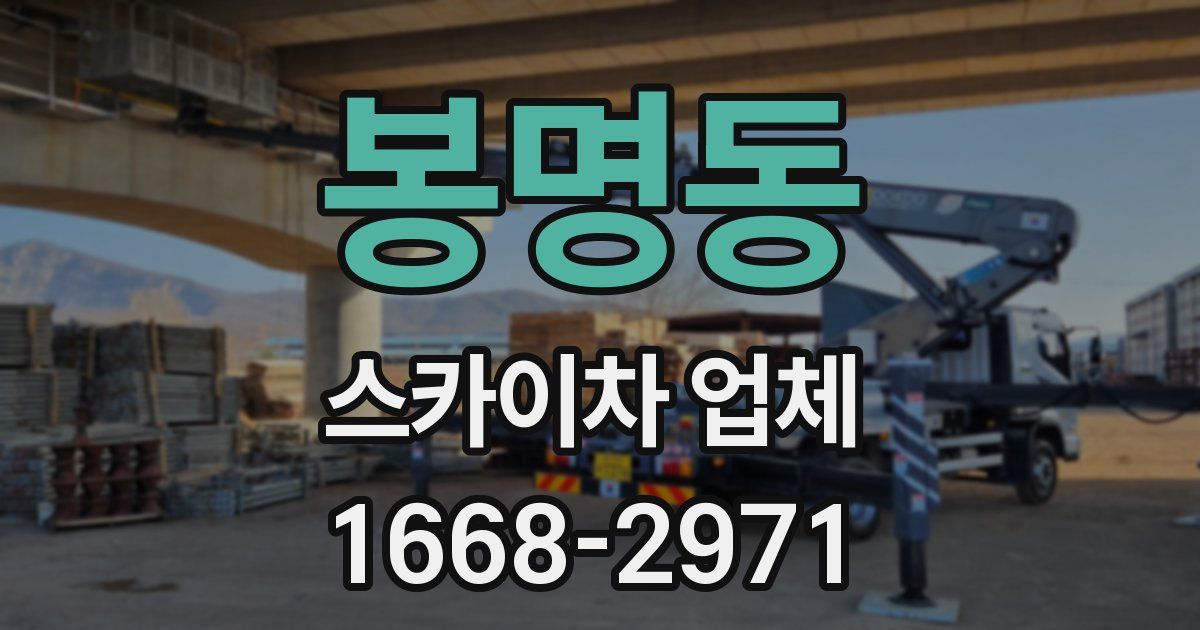 봉명동 스카이차 업체