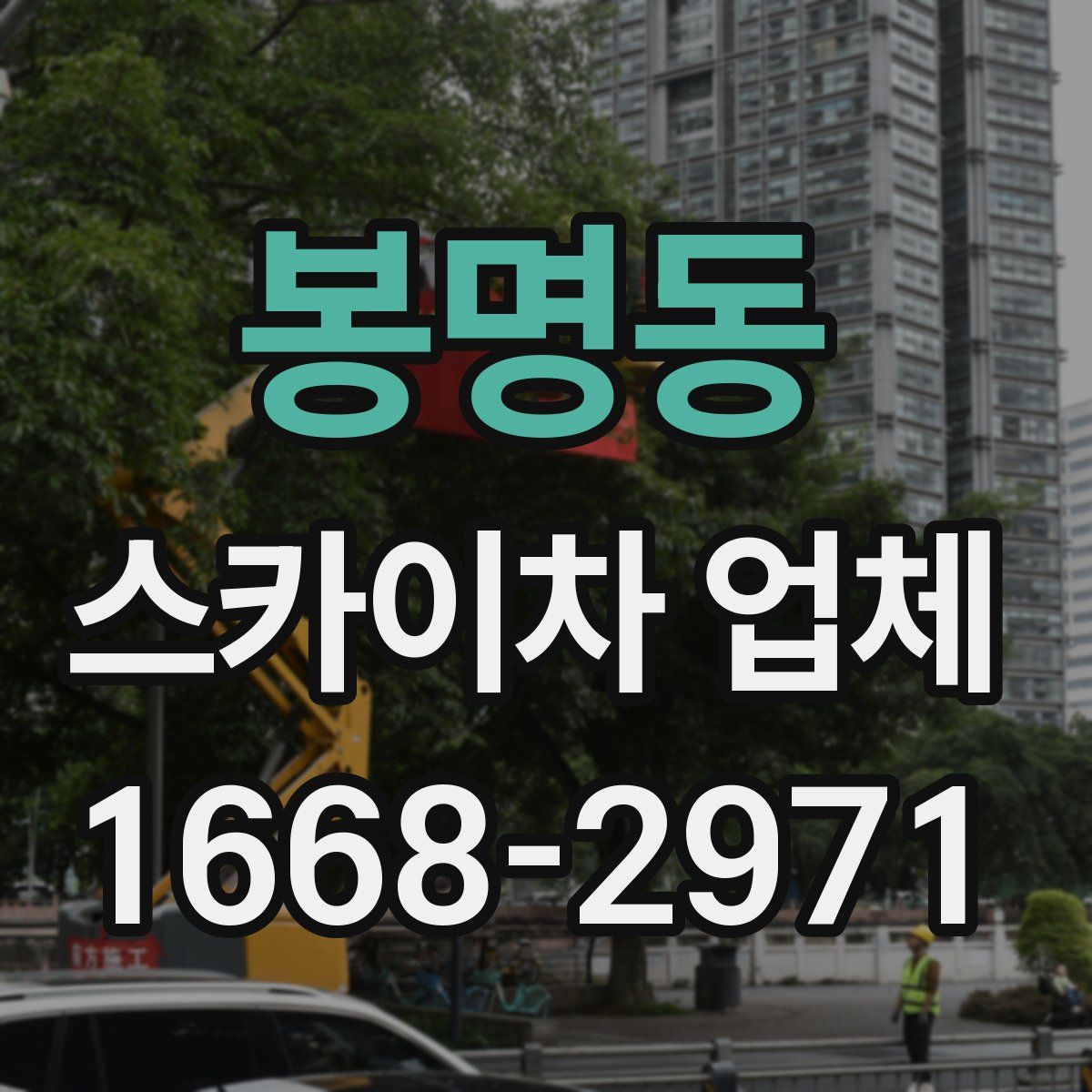봉명동 스카이차 업체