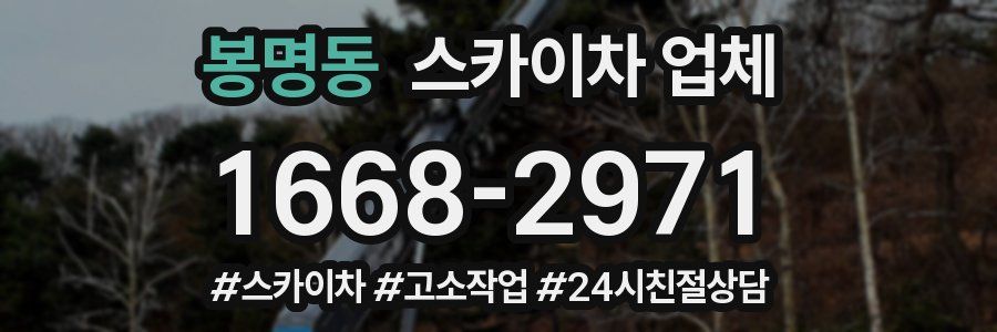 봉명동 스카이차 업체