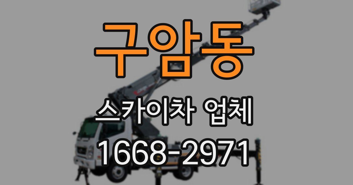 구암동 스카이차 업체