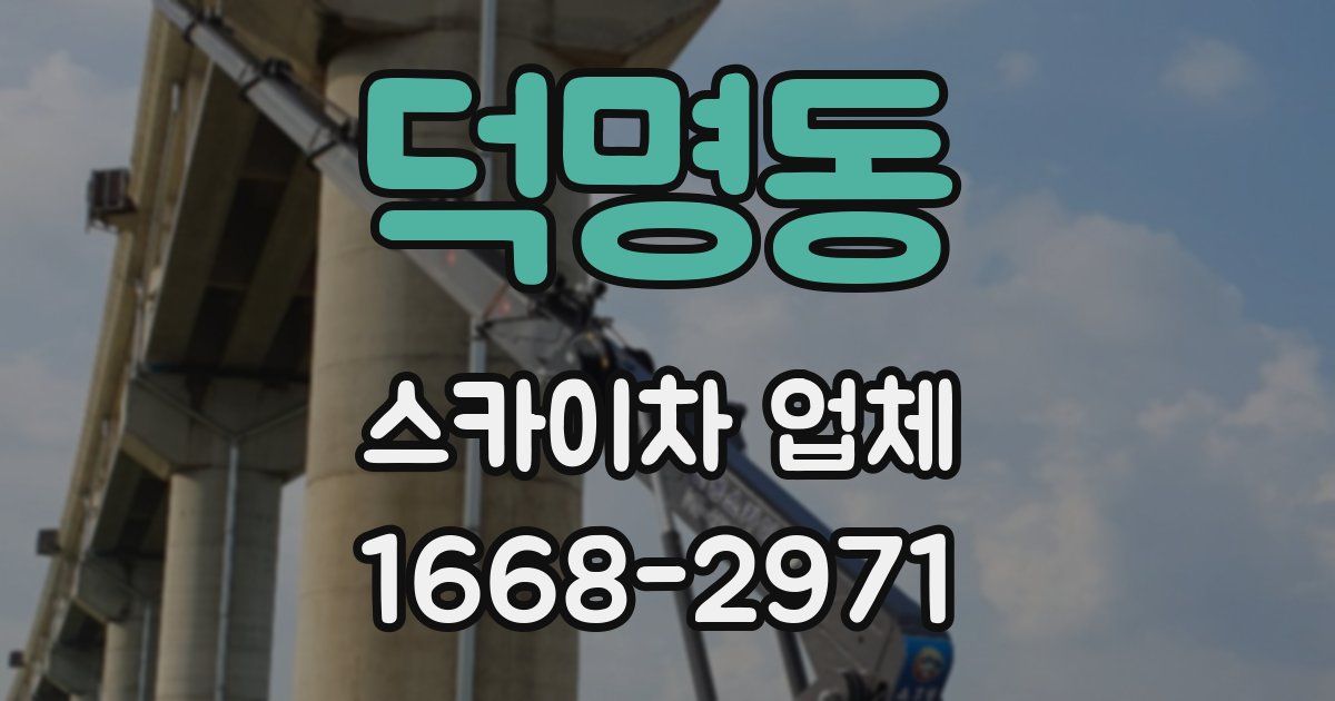 덕명동 스카이차 업체
