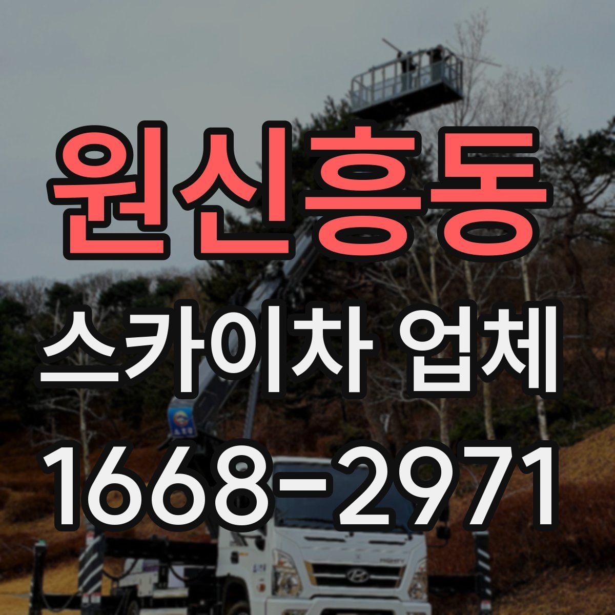 원신흥동 스카이차 업체