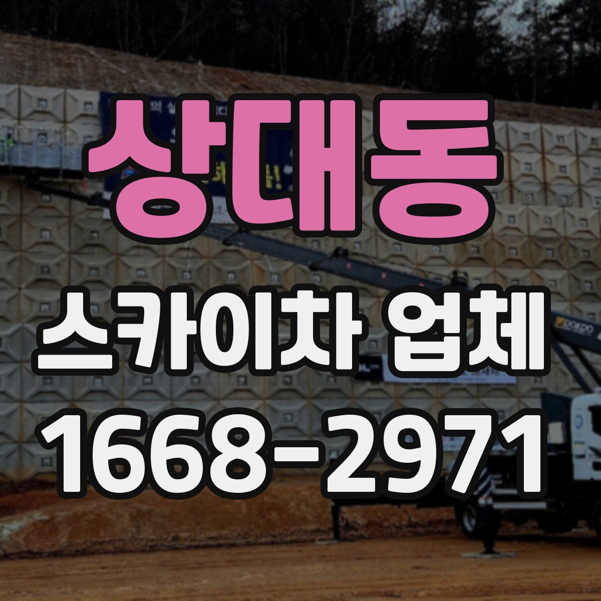 상대동 스카이차 업체