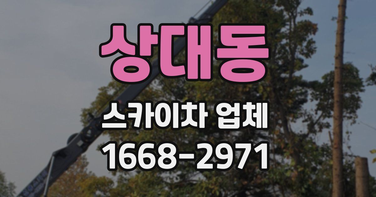 상대동 스카이차 업체