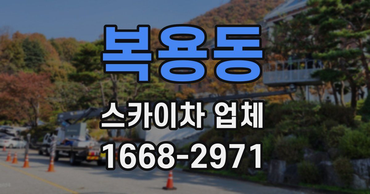 복용동 스카이차 업체