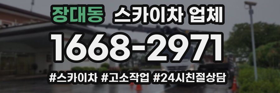 장대동 스카이차 업체