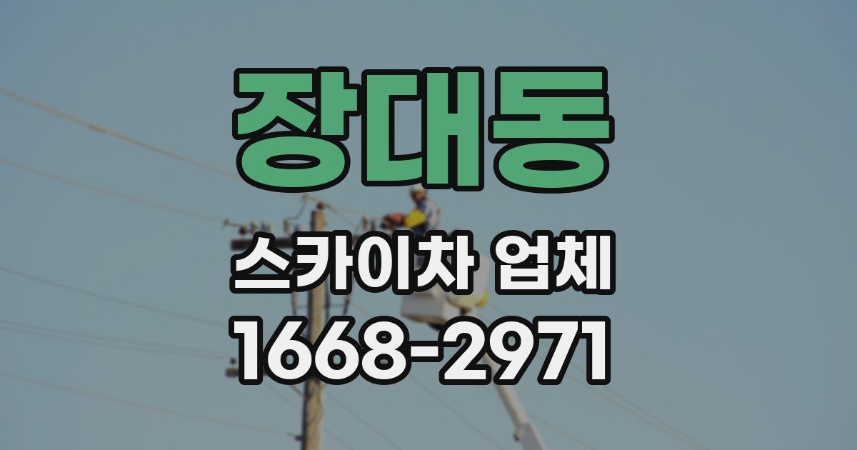 장대동 스카이차 업체