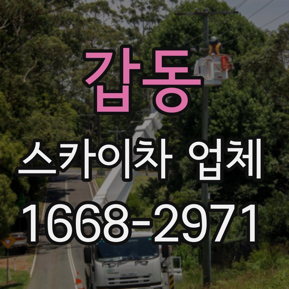 갑동 스카이차 업체