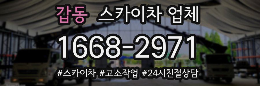 갑동 스카이차 업체