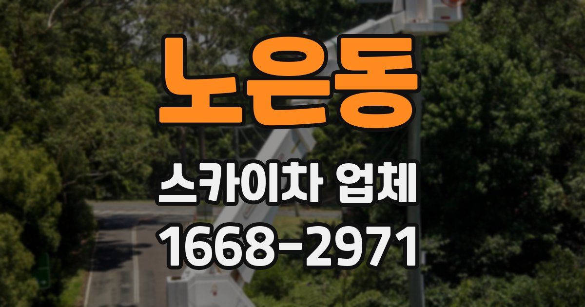 노은동 스카이차 업체