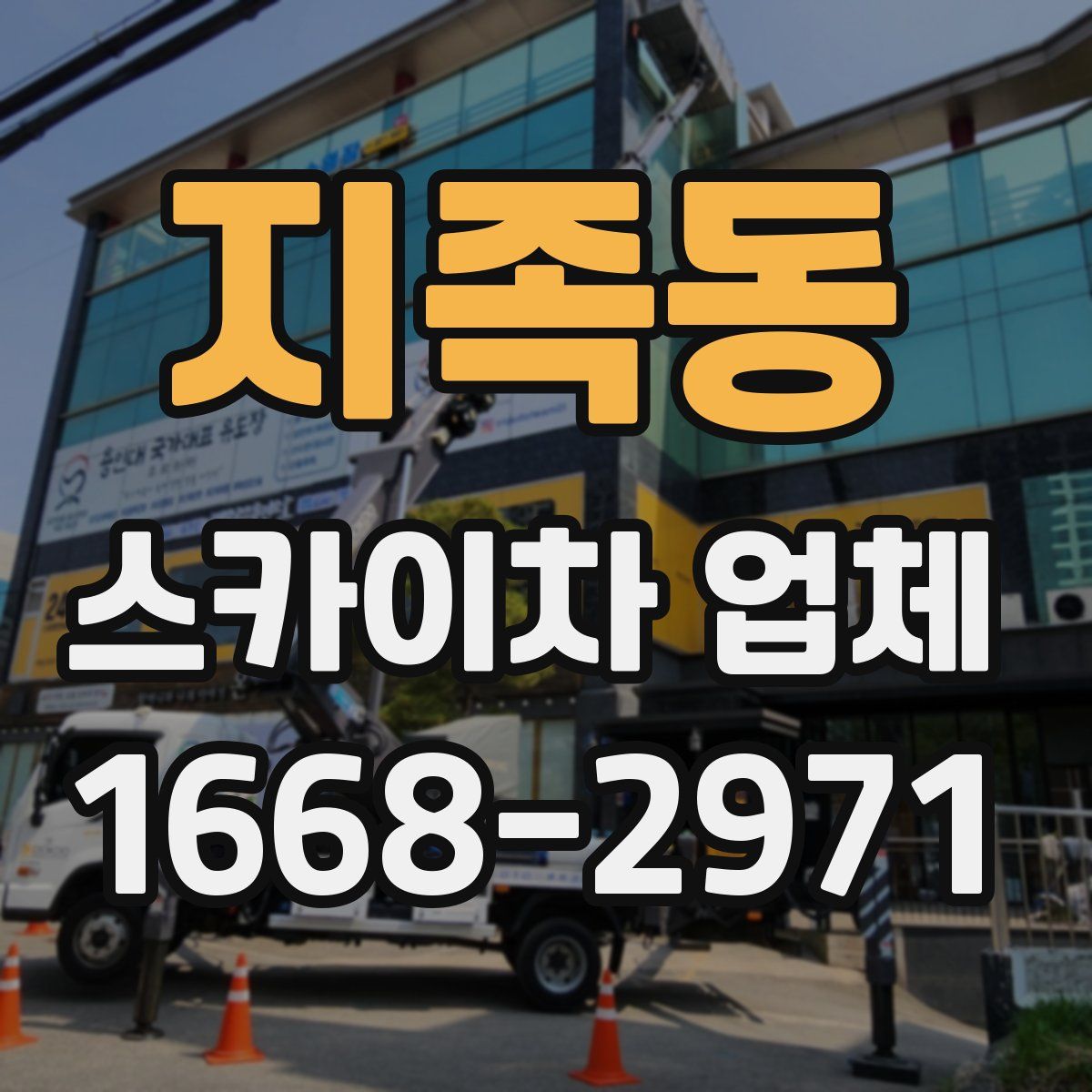 지족동 스카이차 업체