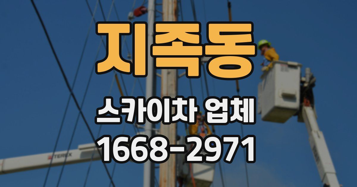 지족동 스카이차 업체