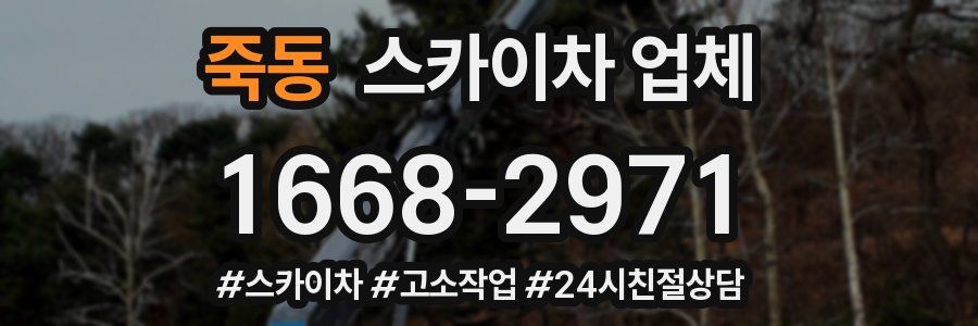 죽동 스카이차 업체