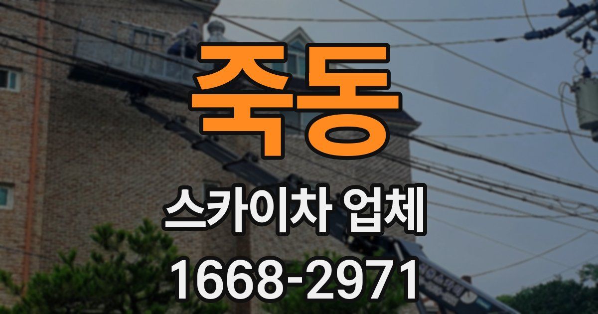 죽동 스카이차 업체