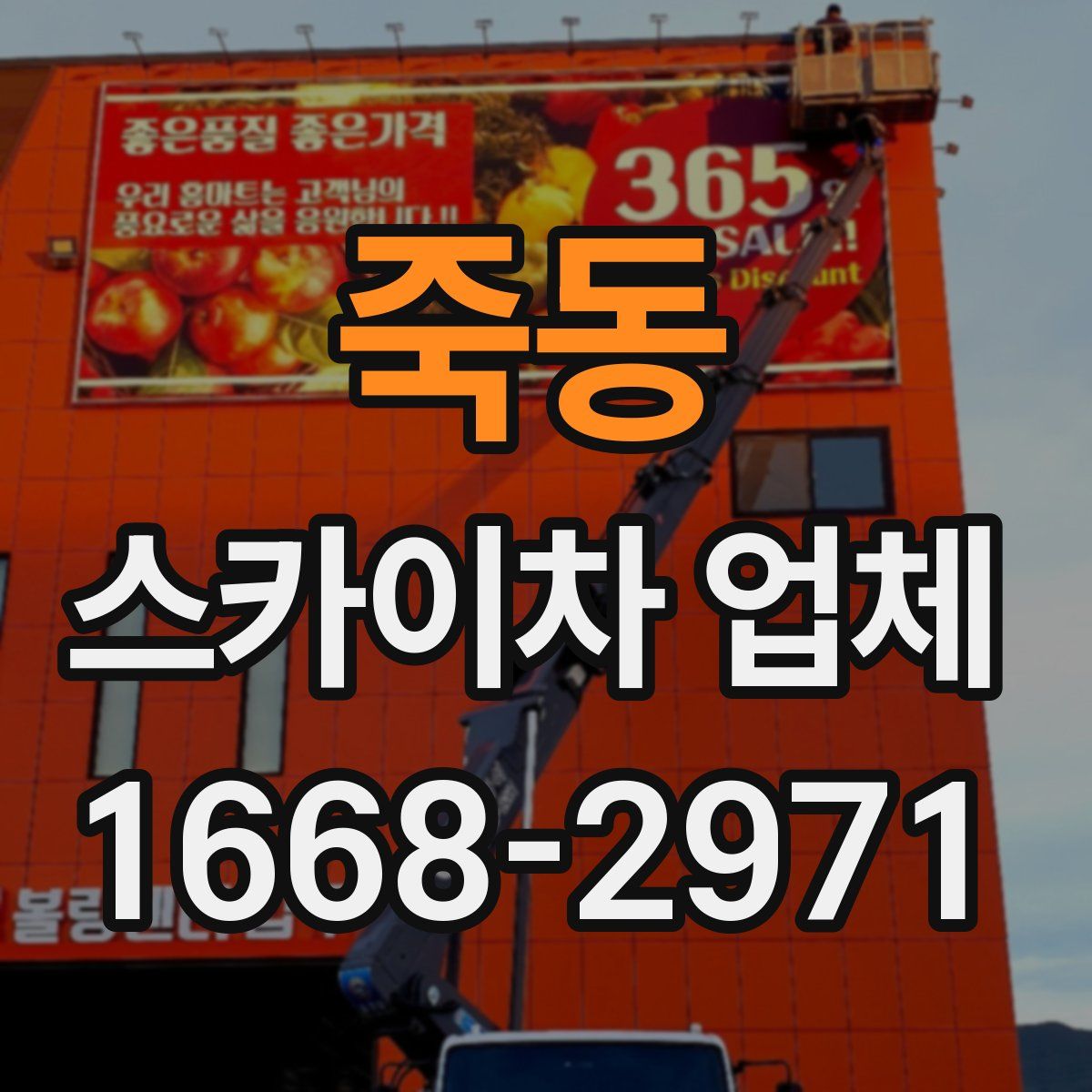 죽동 스카이차 업체