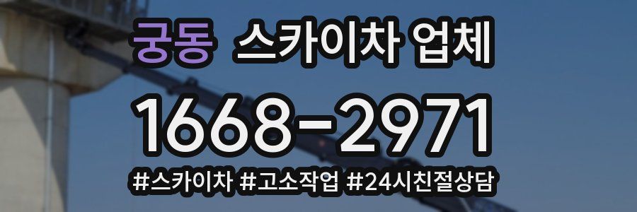 궁동 스카이차 업체
