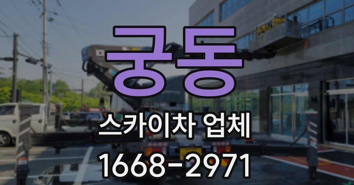 궁동 스카이차 업체
