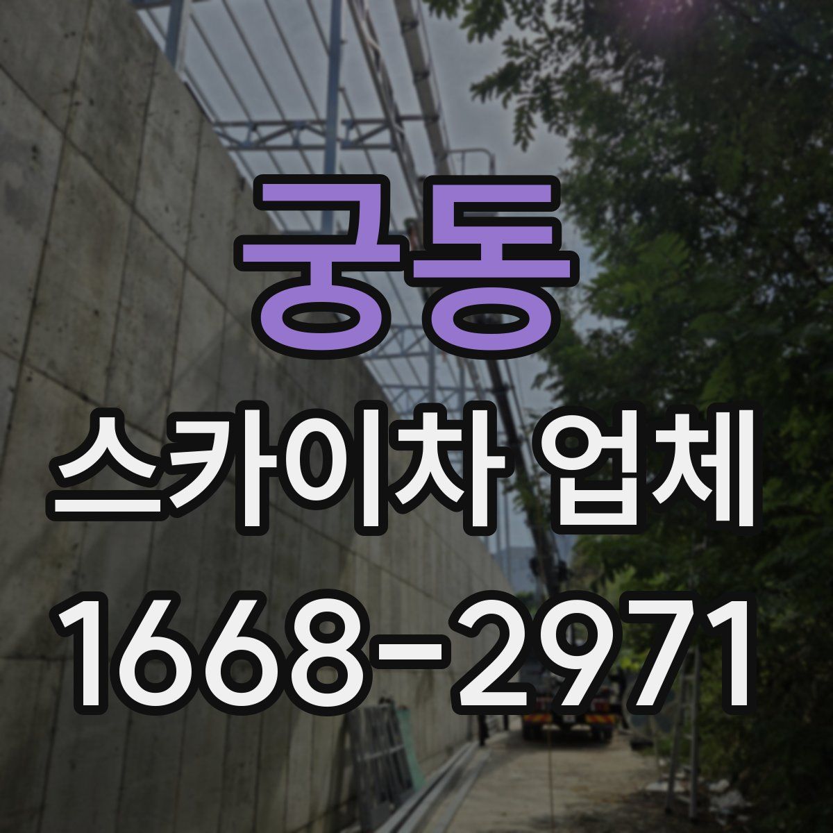 궁동 스카이차 업체