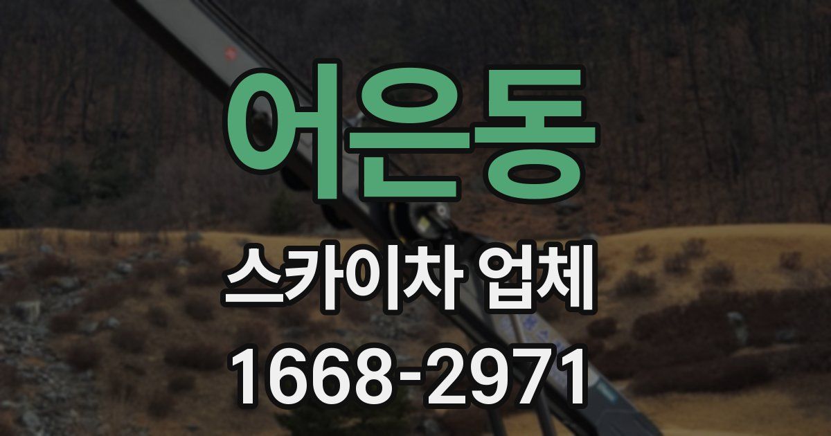 어은동 스카이차 업체