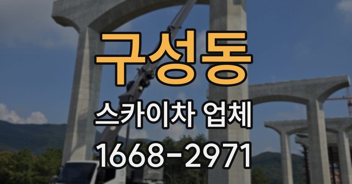 구성동 스카이차 업체