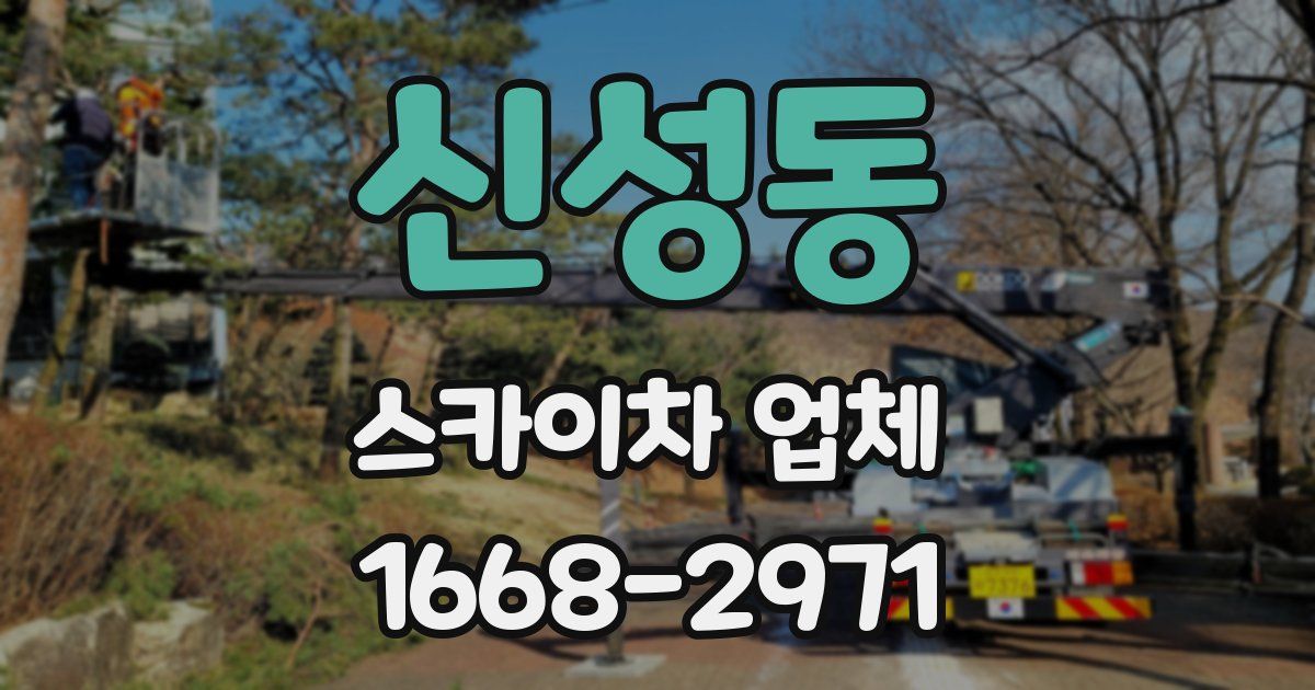 신성동 스카이차 업체