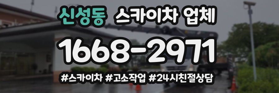 신성동 스카이차 업체