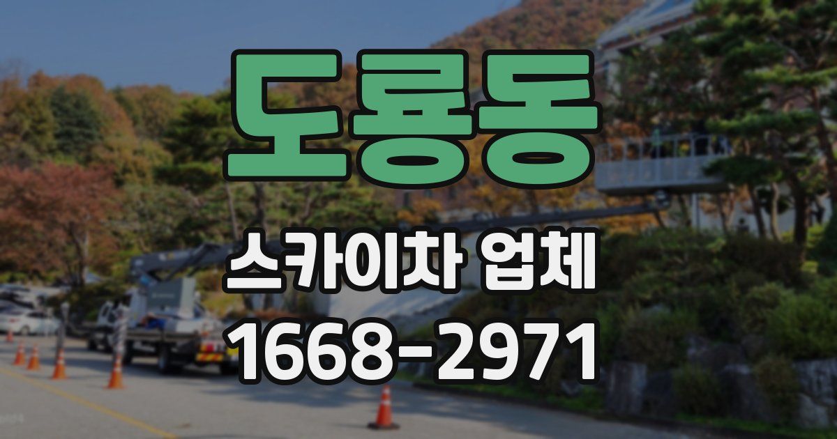 도룡동 스카이차 업체