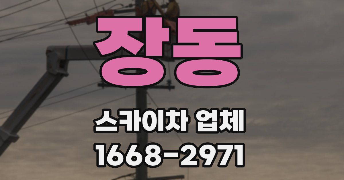 장동 스카이차 업체