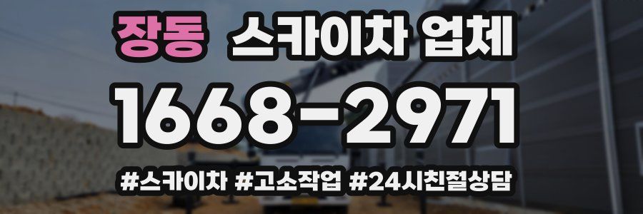 장동 스카이차 업체