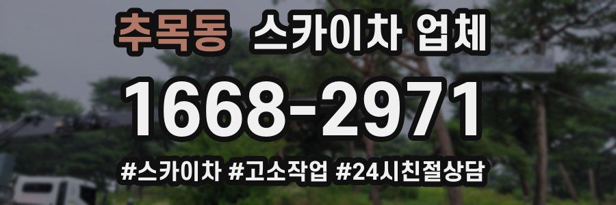 추목동 스카이차 업체