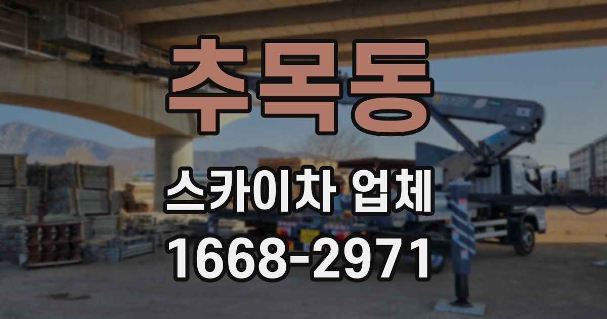 추목동 스카이차 업체