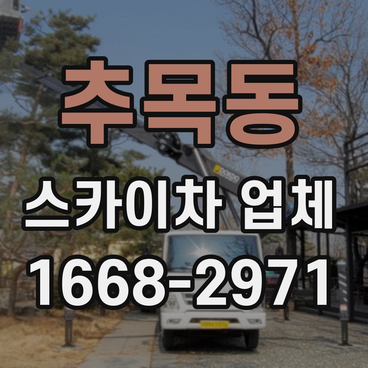 추목동 스카이차 업체