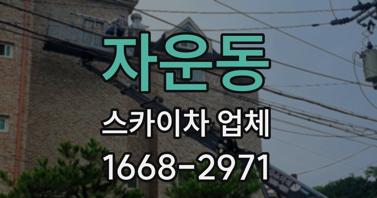 자운동 스카이차 업체