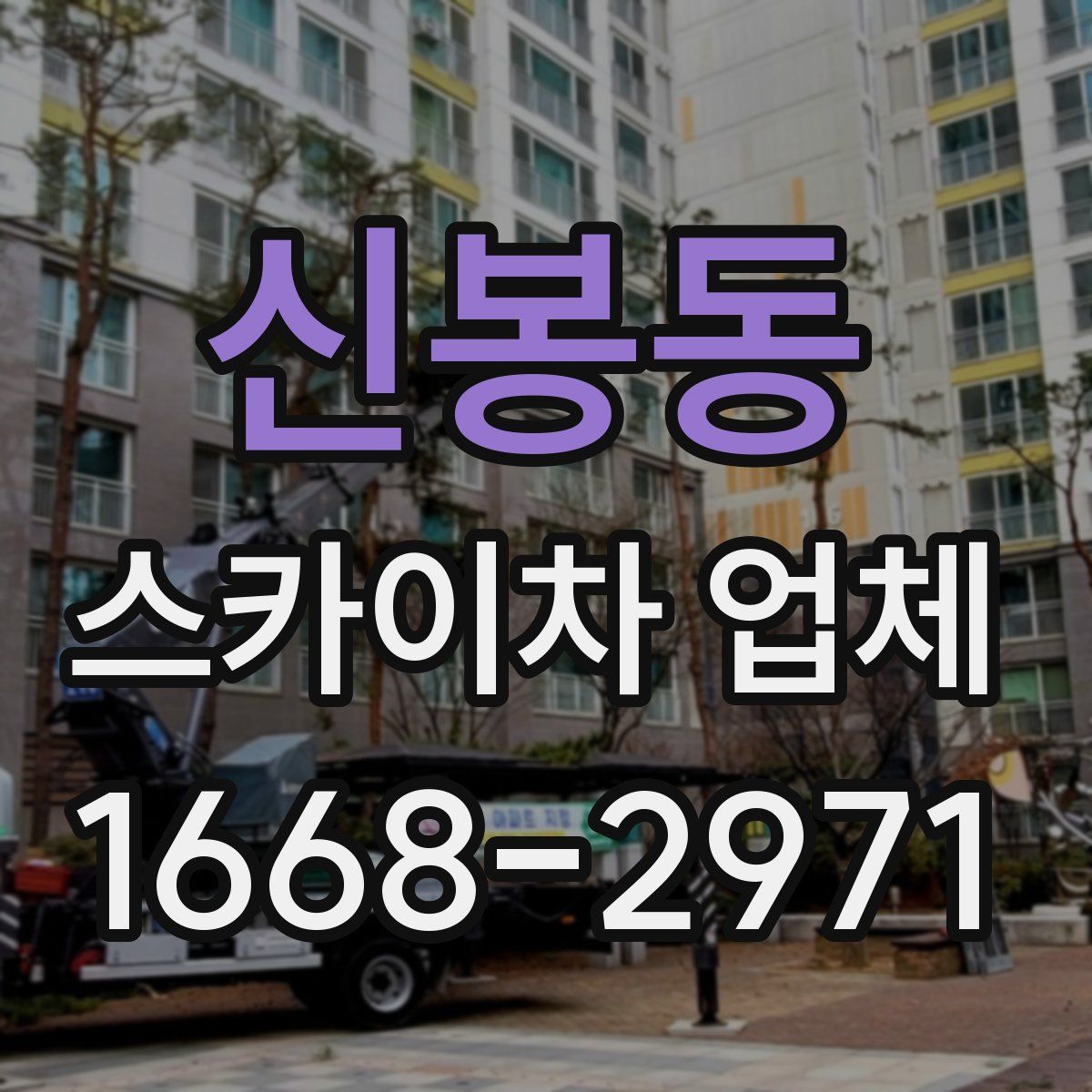 신봉동 스카이차 업체