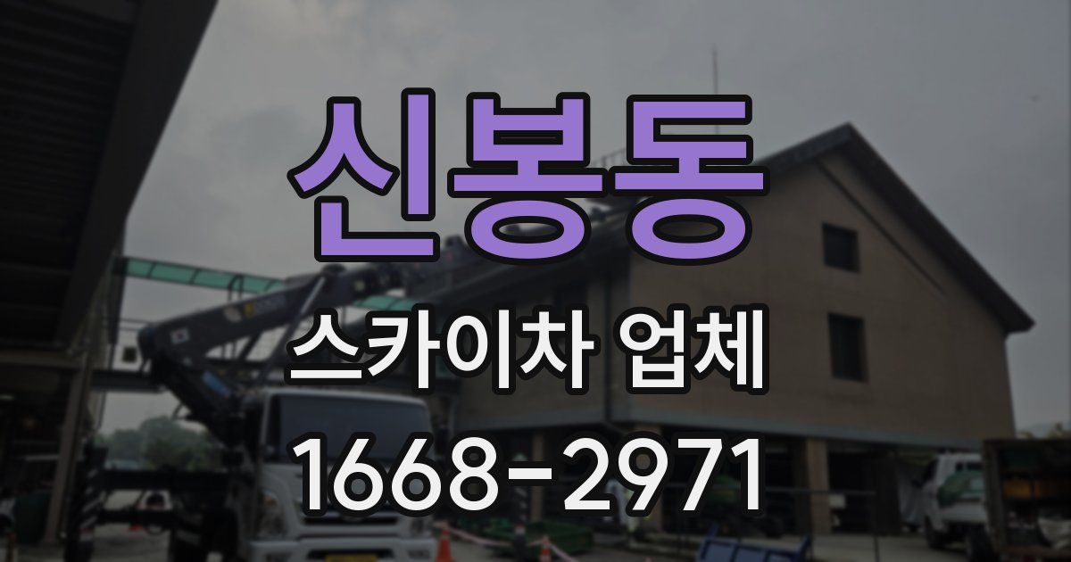 신봉동 스카이차 업체