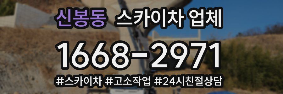 신봉동 스카이차 업체