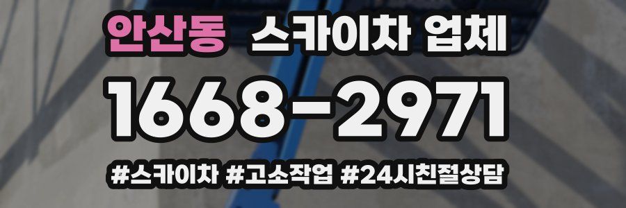 안산동 스카이차 업체