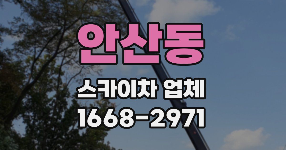 안산동 스카이차 업체