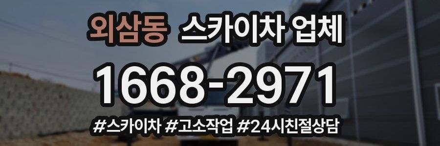 외삼동 스카이차 업체
