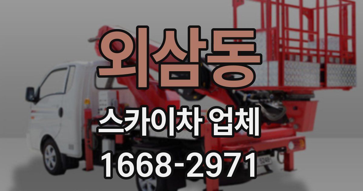 외삼동 스카이차 업체