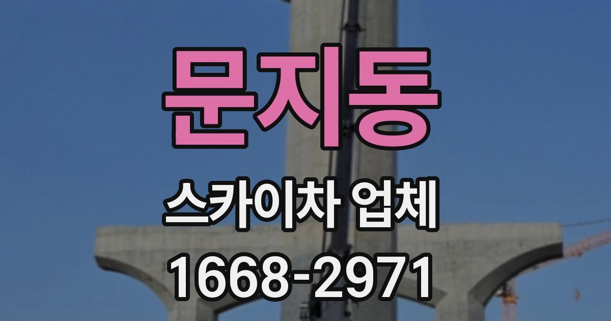 문지동 스카이차 업체