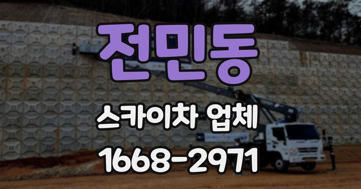 전민동 스카이차 업체