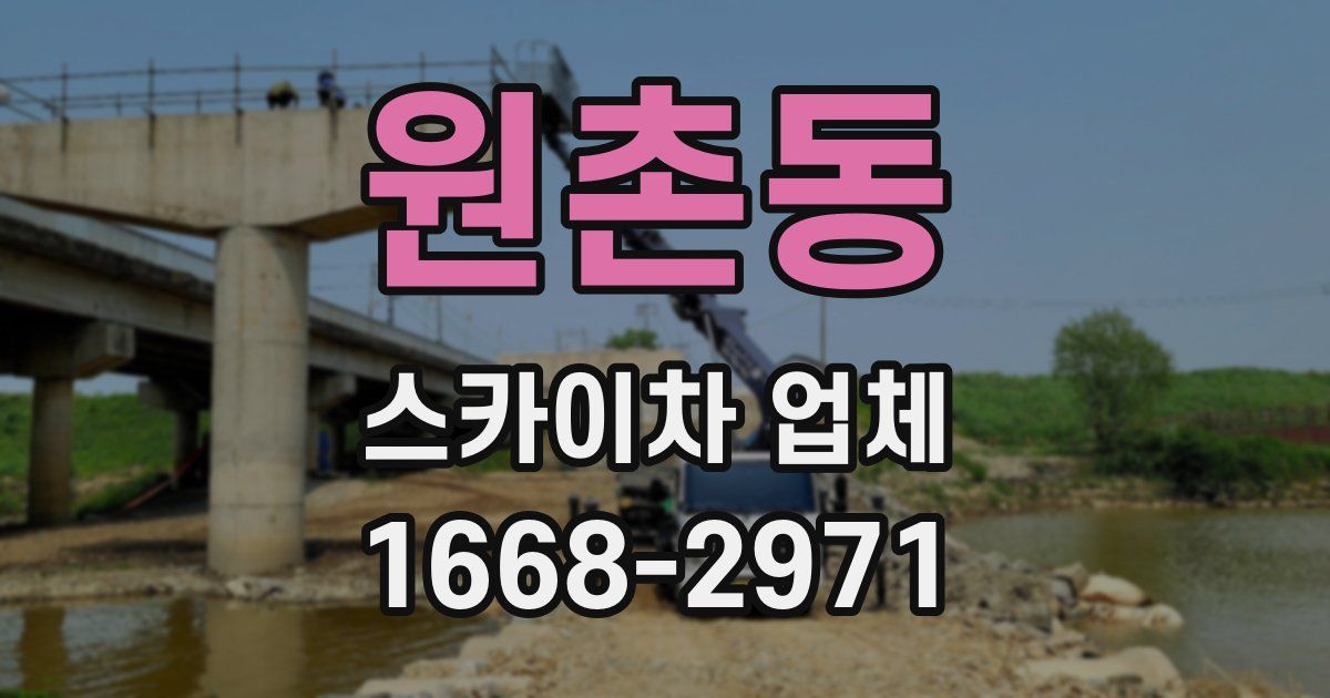 원촌동 스카이차 업체
