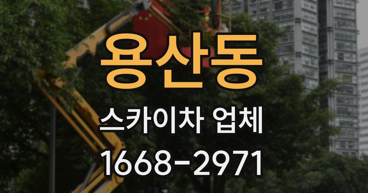 용산동 스카이차 업체