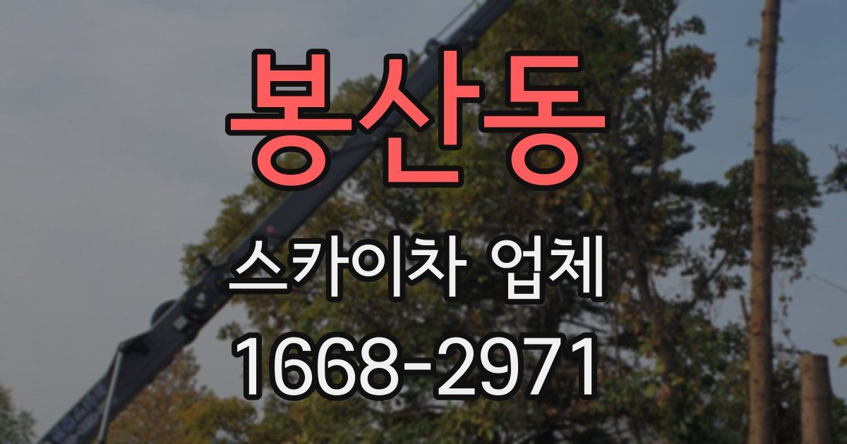 봉산동 스카이차 업체