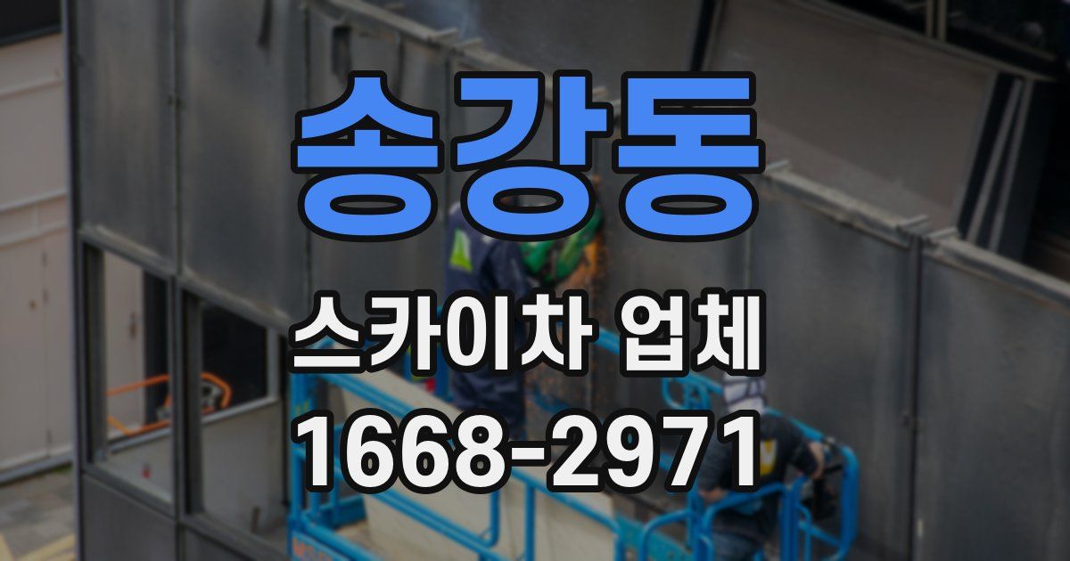 송강동 스카이차 업체