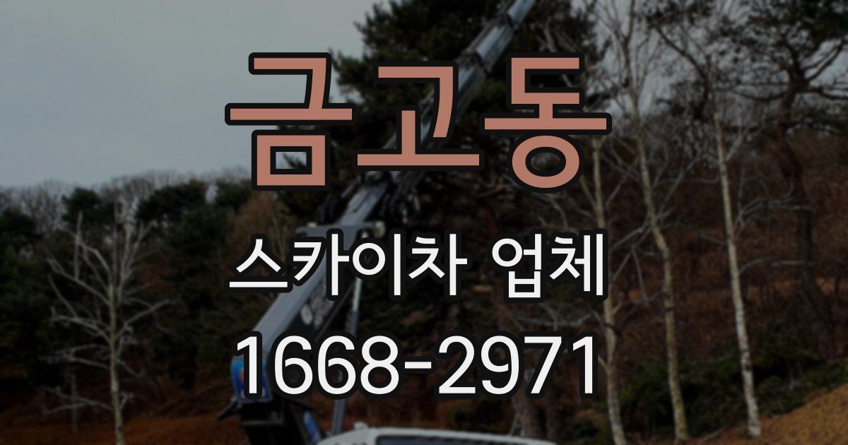 금고동 스카이차 업체