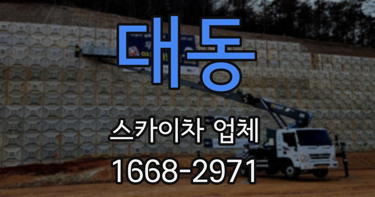 대동 스카이차 업체