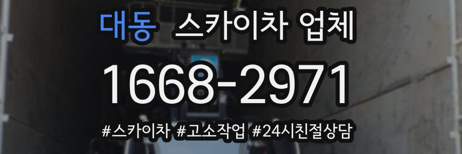 대동 스카이차 업체
